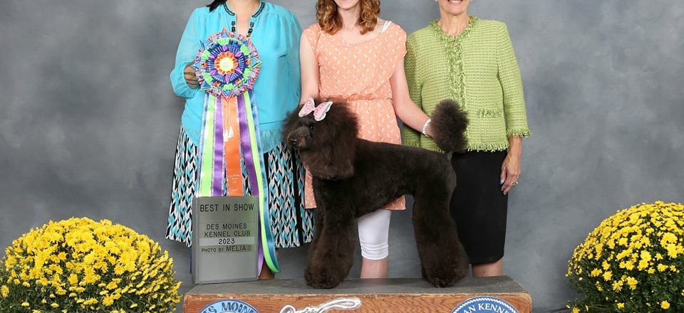 Des Moines Kennel Club Grooming Extravaganza